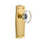 Prairie Plate with Oval Clear Crystal Door Knob-1559617385