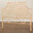 Danesia Wicker Panel Headboard