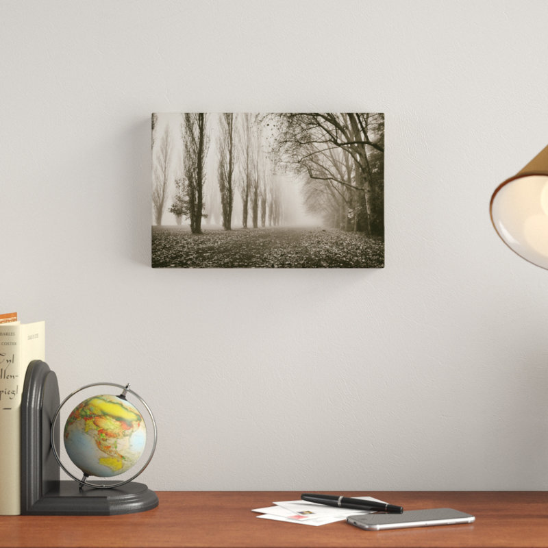 Trees in Fog IV by Jody Stuart - Photograph Print, 20cm H x 30cm W, Wrapped Canvas
