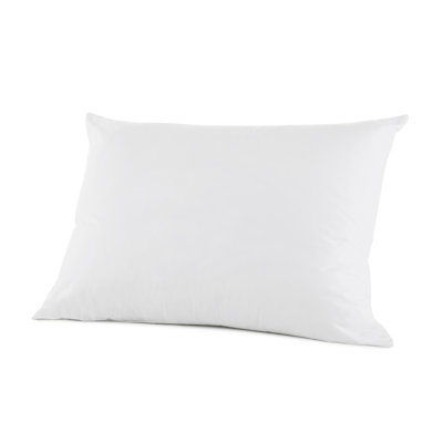 Oreiller soufflé 100% coton à densité de tissage 300 fils Clean Design Home