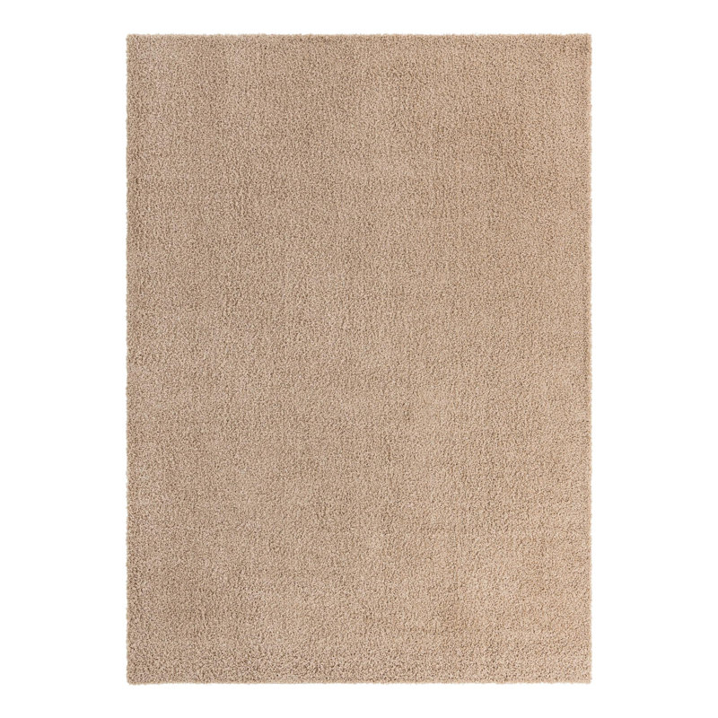 Tapis taupe pour l'intérieur uniquement Santoya, Rectangle 10 pi x 14 pi 1 po