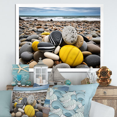 Coquillage jaune gris Alyosha sur la plage - plage de sable