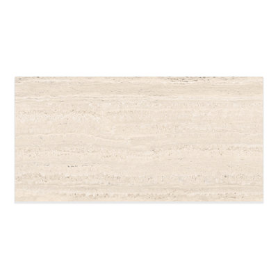 Colosseum Matte 24x48 (15.5 Sq. Ft./Case)