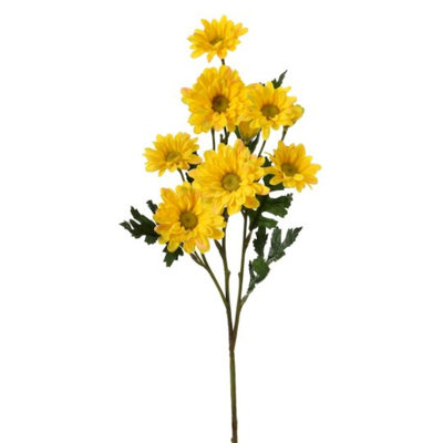 Daisy Bushes
