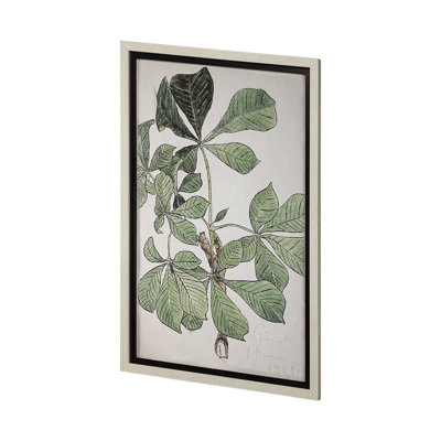 Maskros Akvarellmalning by John Bauer Hand Embelished Textured Framed Art Print Matted under Glass