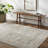 Quincy Light Gray/Teal Area Rug-274065863