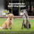 PetSafe® Wireless Fence Pet Containment System