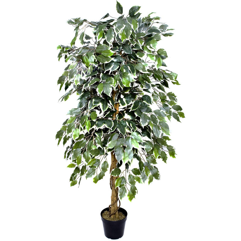 Premium Artificial Variegated Ficus Tree Potted Plant