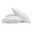 Gillian Poly Wrapped Cluster Foam Pillow