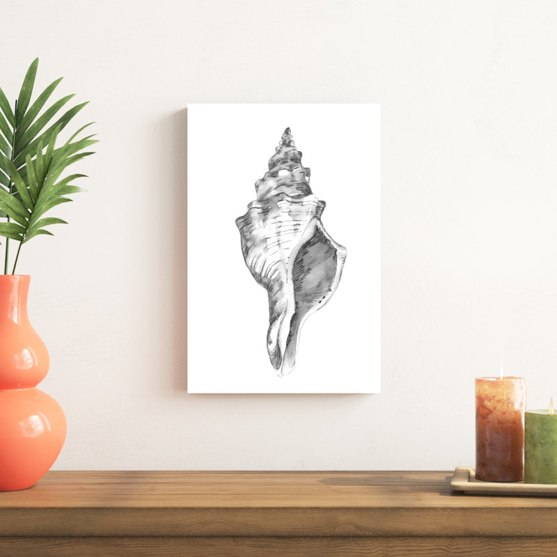 Quiet Conch IV, H 18 po x l 12 po