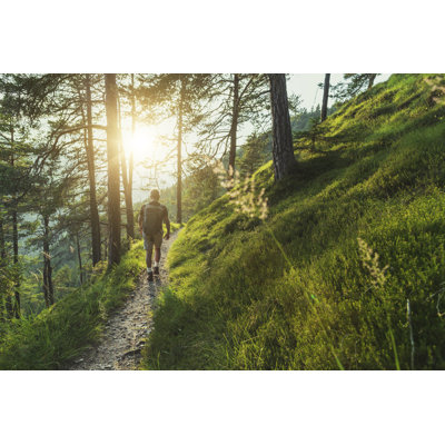Senior Man Trail Hiking by Piola666