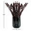 Ensemble de 4 bouquets d'eucalyptus séchés-209624966