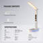 Desk Lamp
