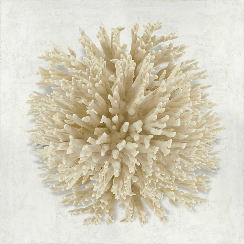 Coral crème I - impression sur toile tendue, H 12 po x l 12 po