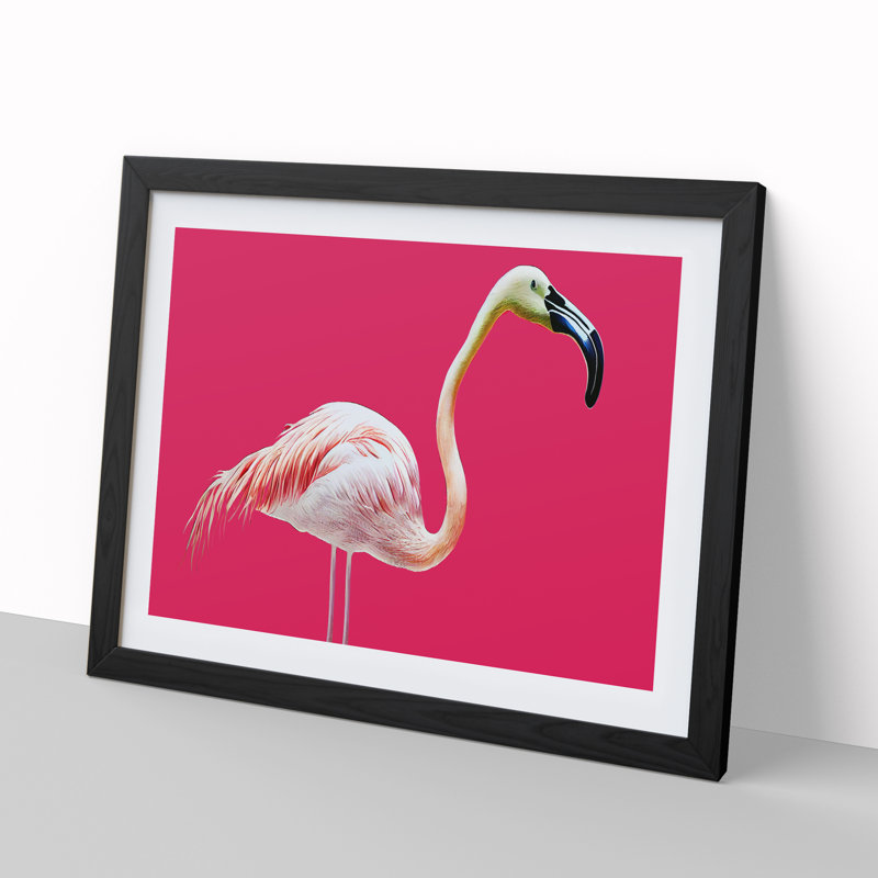 Tranquil Flamingo - Single Picture Frame Print, Black Framed, 46cm H x 64cm W x 2cm D