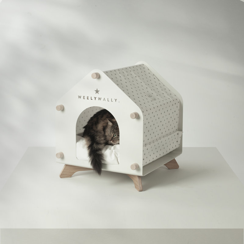Dog House