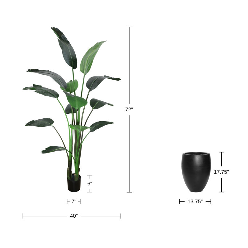 6' Bird of Paradise Tree with Fiberstone Planter, Black