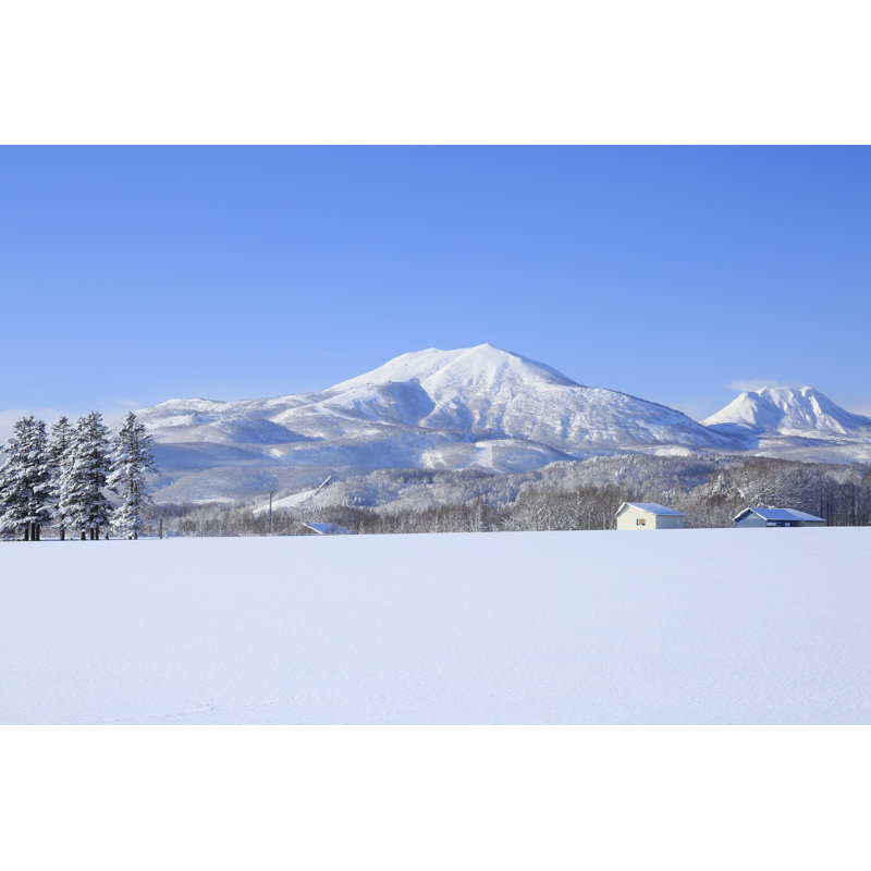 Snowfield 1 Piece Wrapped Canvas Wall Art, 20cm H x 30cm W