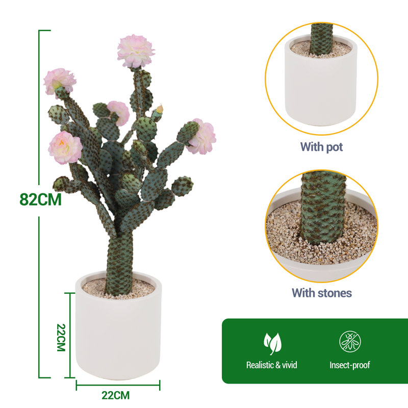82cm Plant