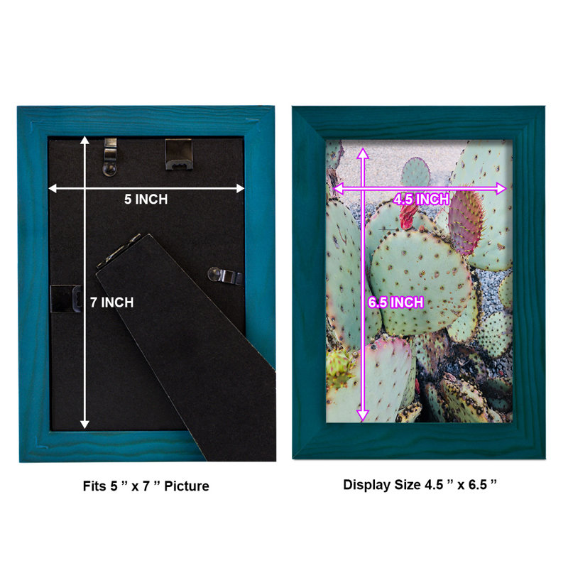 Rose vert cactus II encadré sur papier, H 7 po x l 5 po x P 1 po, Bleu