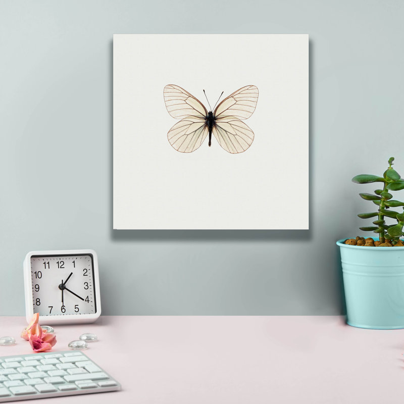 «Papillon blanc» par PhotoINC Studio, H 12 po x l 12 po x P 0,75 po