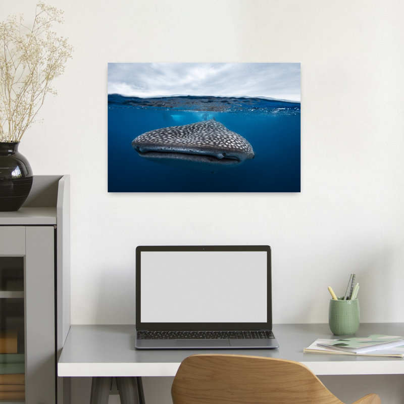 Whale Shark Beneath Surface Abstract Contemporary Fish Shark Whale Nature Ocean Wall Art Print 1 Piece Wrapped Canvas Wall Art