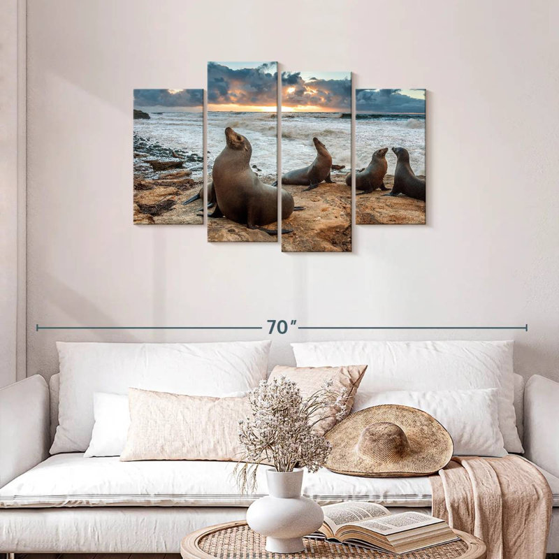 Lions de mer Brampt à La Jolla, H 27 po x l 43 po
