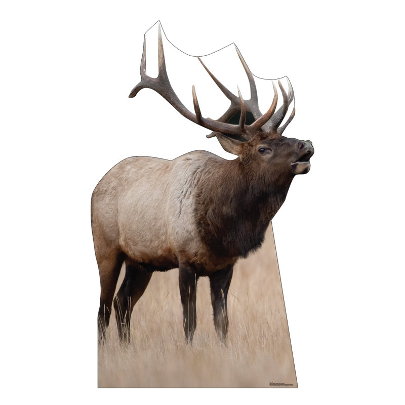 Elk