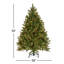 Sapin Douglas avec lumières DEL bicolores de 4,5 pi Downswept Douglas Fir