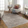 Everly Oriental Indoor Rug