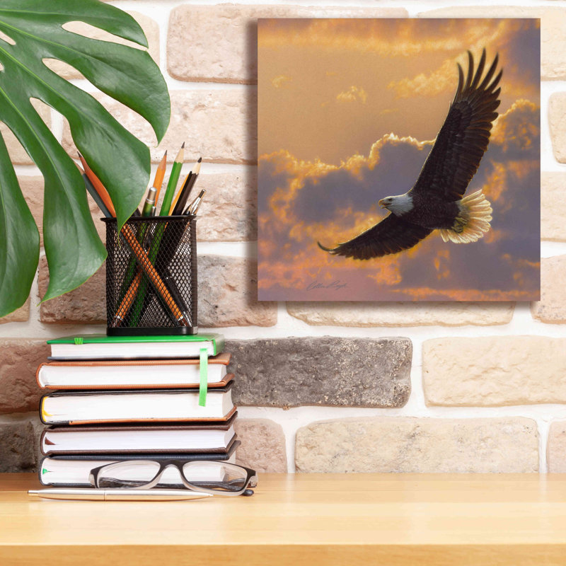 «Soaring Spirit» par Collin Bogle, art mural sur toile, H 12 po x l 12 po x P 0,75 po