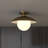 Robin Glass Semi Flush Mount-1742803676