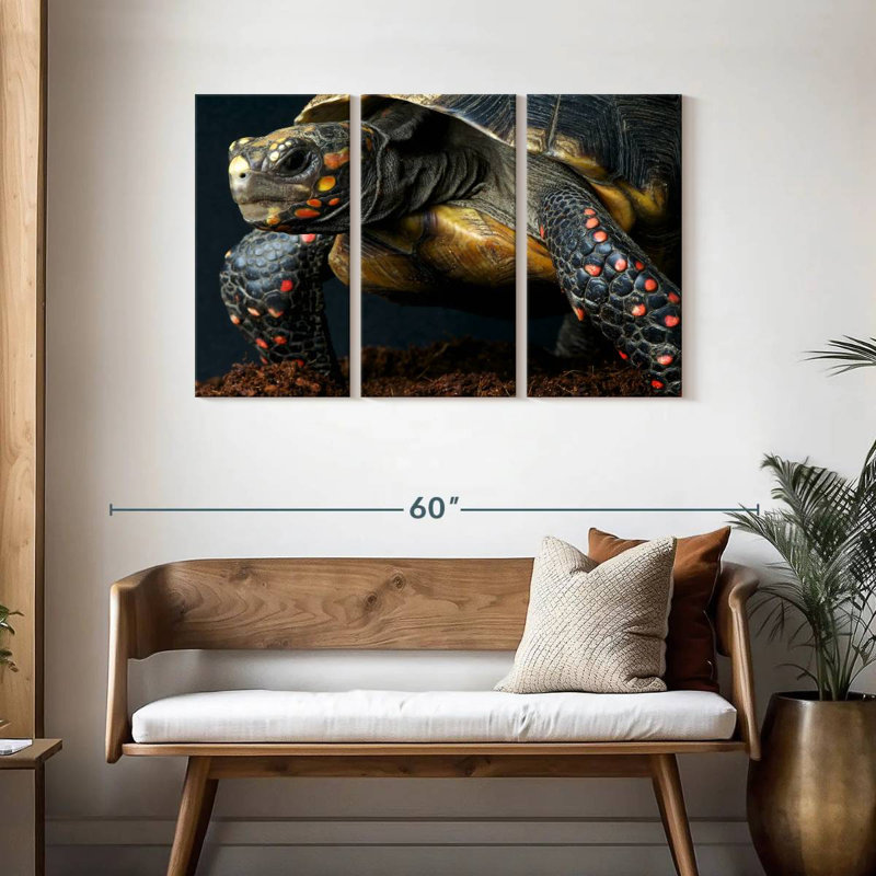 Brampt Red Footed Tortoise Species, 28" H x 45" W