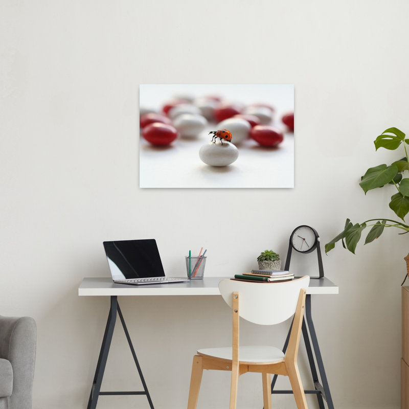 Sweet Ladybug Candy Ladybug Nature Summer Wall Art Print by Ellen van Deelen - 1 Piece Wrapped Canvas Wall Art