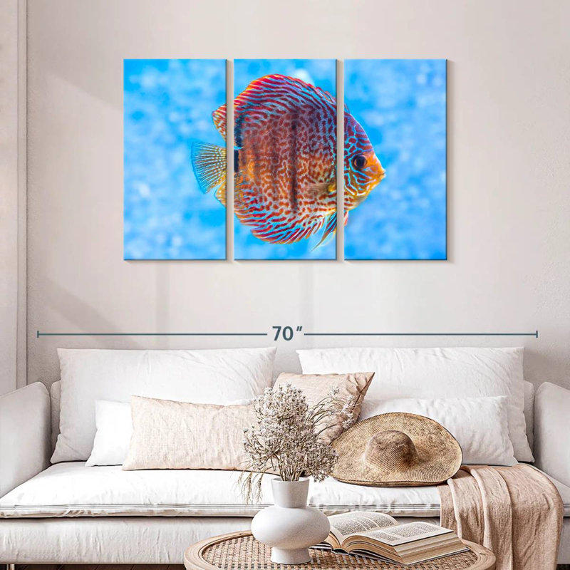 Brampt Freshwater Discus Fish, 28" H x 45" W