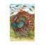 Melinda Hipsher-503132809