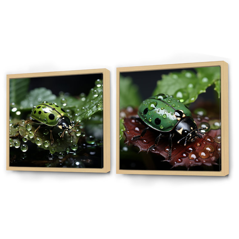 «Enchanted Ladybug Forest», ensemble de 2 insectes et insectes carrés, Cadre flottant brun, H 30 po x l 61 po