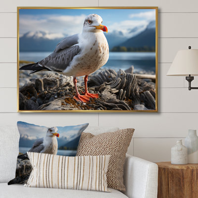 " Seagull Portrait On Rock "
