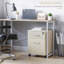 40cm Wide 2 -Drawer Mobile File Cabinet-648953202