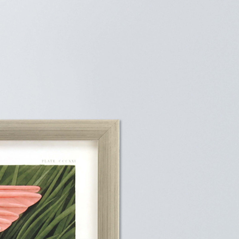 « rosee spoonbill », peinture encadrée