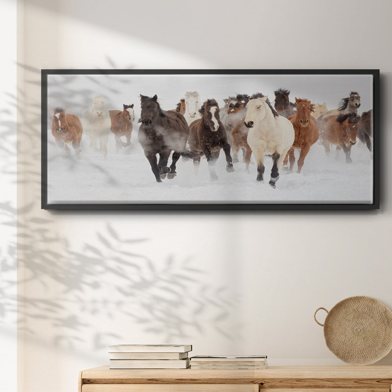 Pasture Run- Framed Canvas, 24" H x 60" W
