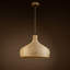 Luminaire suspendu en forme de dôme naturel à 1 lumière Allmon avec accent en bois