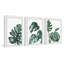 Palmera blanc triptyque-63364897