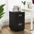 Ecobet Metal 2 -Drawer Mobile File Cabinet Office Storage Cabinet with Lock-93022689