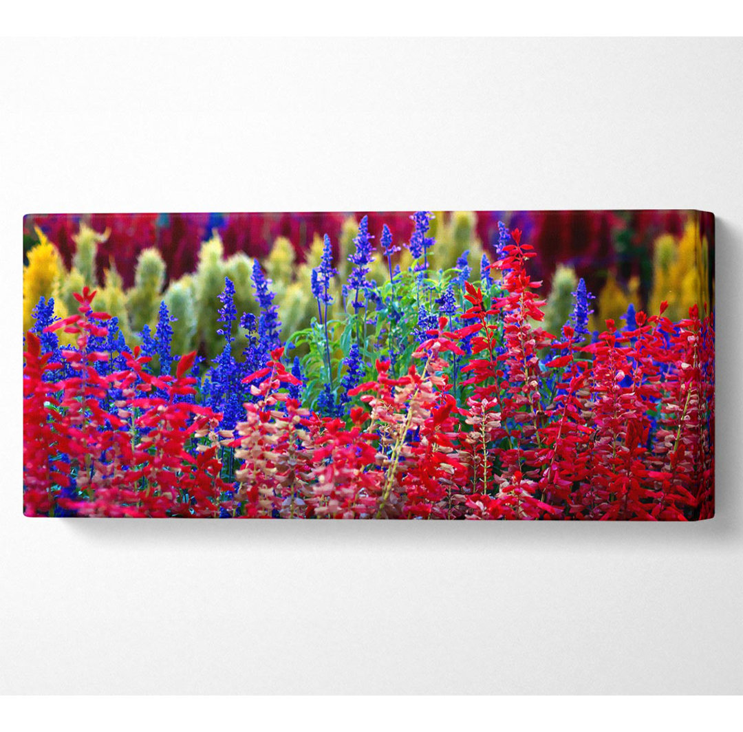 Regenbogenblumen - Kunstdrucke auf Segeltuch