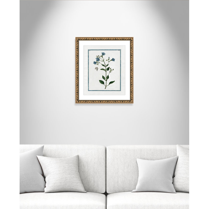 Colombe Shabby Elegance Botanical II - Art encadré, Cadre en perle d'or, L 17 po x H 20 po