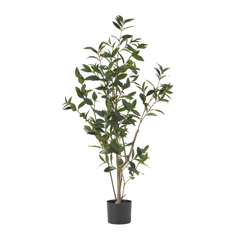 Laurier artificiel en pot Abernethy, H 47 po x l 19 po x P 19 po