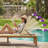  Outdoor Chaise Lounge