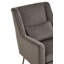 Azarion Grey Velvet Chair With Gold Finish Legs-93609981