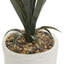 Plante grasse artificielle en pot-97092335
